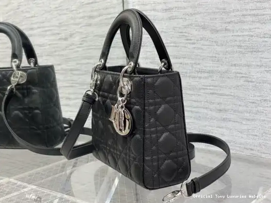 Tony Luxuries Lady Calfskin-20-16.5-8CM Small diro 0520